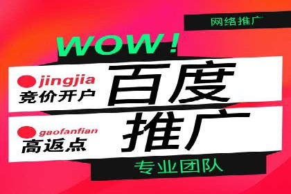 SEM代运营托管公司案例分享：精准营销策略的实践